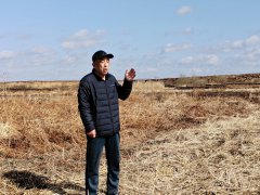 <b>黑龙江桦南：荒地变沃土后开荒成果竟然遭抢夺？</b>